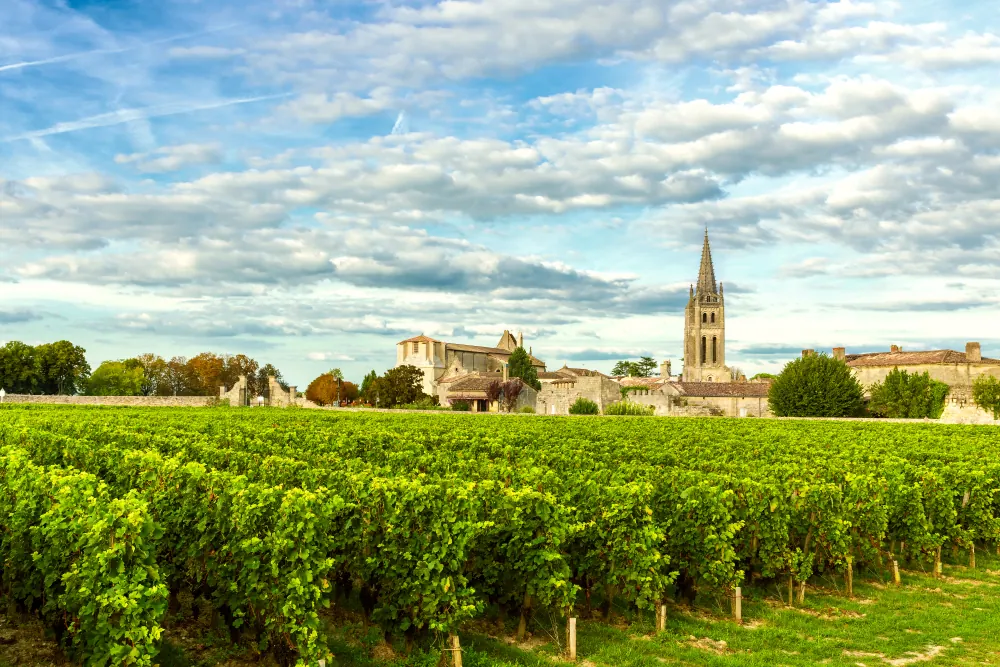 Vineyards of Saint Emilion, Bordeaux Wineyards in France in a sunny day