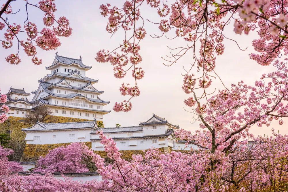 Himeji, Japan at Himeji Castle during spring cherry blossom season. 