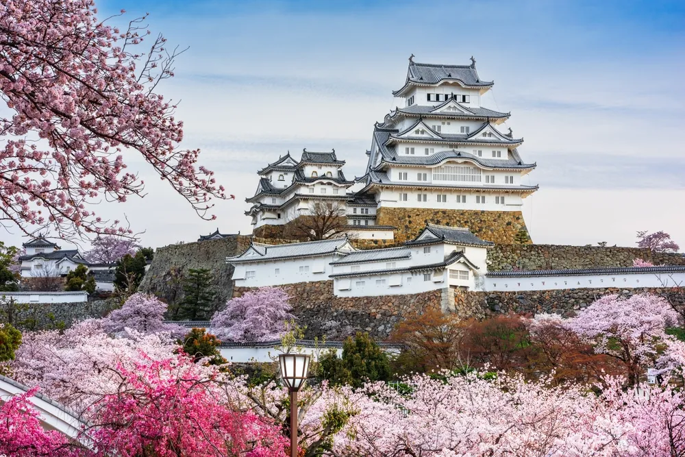 Himeji, Japan at Himeji Castle during spring cherry blossom season.