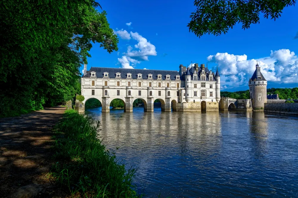 Castle bridge on forest river. River castle with bridge. Castle river bridge landscape. View of castle river bridge