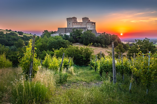 Castle in Italy with vineyard